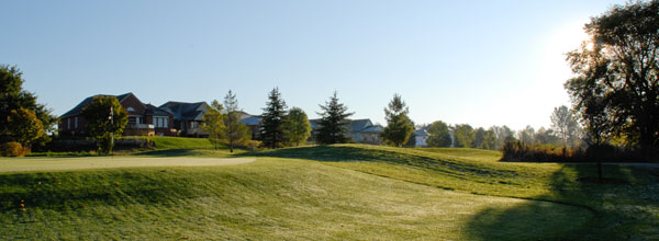 The Bridges of Seaforth