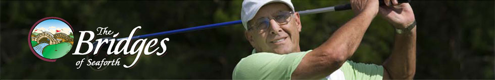 The Bridges of Seaforth