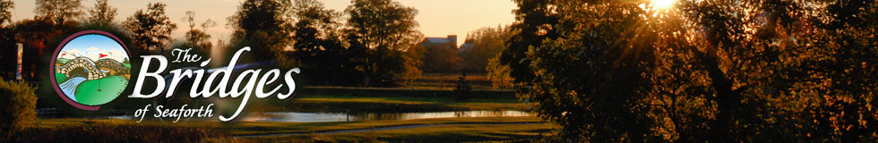 The Bridges of Seaforth