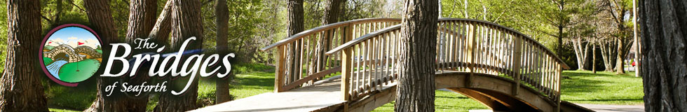 The Bridges of Seaforth