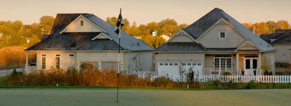 freehold development